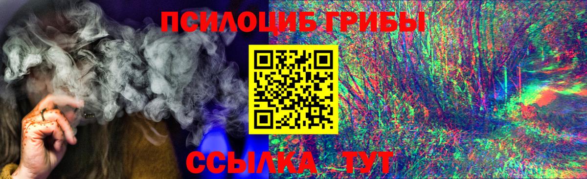 Галлюциногенные грибы Cubensis Самара