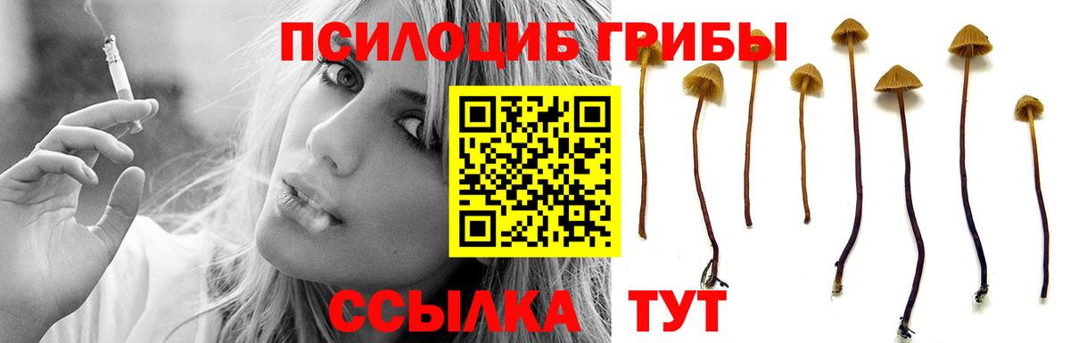Галлюциногенные грибы мухоморы  Вход с VPN  Самара 